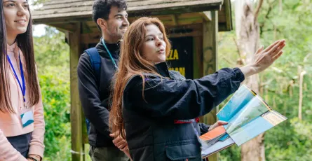 📋 Comprehensive Cursor Rules Best Practices Guide