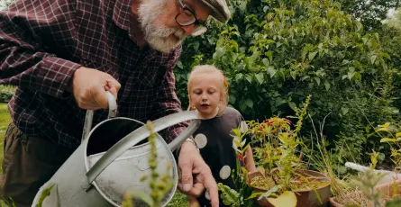 Cultivating Intentional Agent Networks