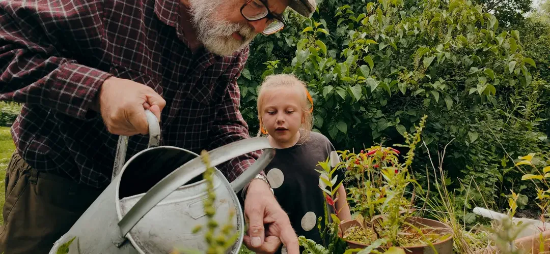 Cultivating Intentional Agent Networks